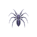 Spiderium logo